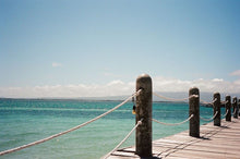 Load image into Gallery viewer, Minolta Freedom Zoom 70 EX