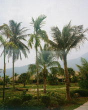 Load image into Gallery viewer, Pentax Espio 140