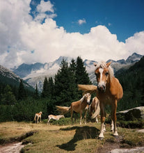 Load image into Gallery viewer, Nikon AF240SV