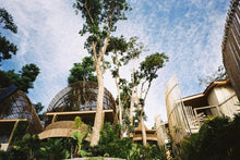 Load image into Gallery viewer, Pentax Espio 120