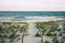 Load image into Gallery viewer, Leica M3 w/ 50mm Summicron
