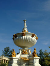 Load image into Gallery viewer, Fuji FinePix Z2