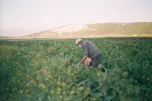 Load image into Gallery viewer, Ricoh YF-10