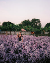 Load image into Gallery viewer, Minolta Hi-Matic SD