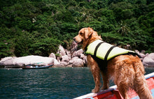 Load image into Gallery viewer, Olympus mju Zoom 115