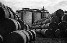 Load image into Gallery viewer, Samsung Fino 145S