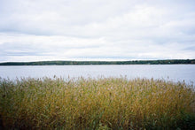 Load image into Gallery viewer, Canon Prima Super 155