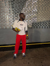 Load image into Gallery viewer, Nikon Coolpix S70 [Digital Camera]
