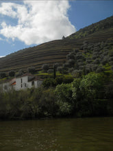 Load image into Gallery viewer, Nikon Coolpix L21 [digital camera]
