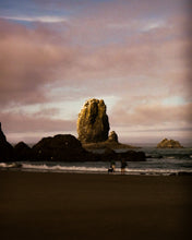 Load image into Gallery viewer, Olympus AF-1
