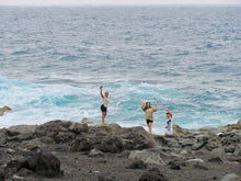 Load image into Gallery viewer, Canon PowerShot SX120IS [Digital Camera]
