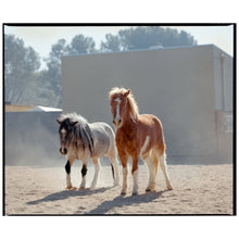 Load image into Gallery viewer, Mamiya RB67 w/ 2 lenses &amp; hard case
