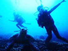 Load image into Gallery viewer, Canon Powershot D30 [waterproof digital camera]
